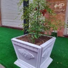 گلدان رومی مربع