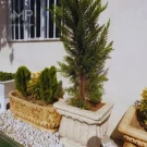 گلدان بزرگ گل دار بیضی