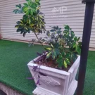 گلدان سیمانی طرح مربع رومی