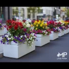 فلاورباکس های مدرن مستطیلی تک خط 100